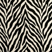 Thumb_f0902_01_1