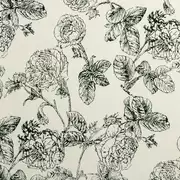 Thumb_f0908_01_1
