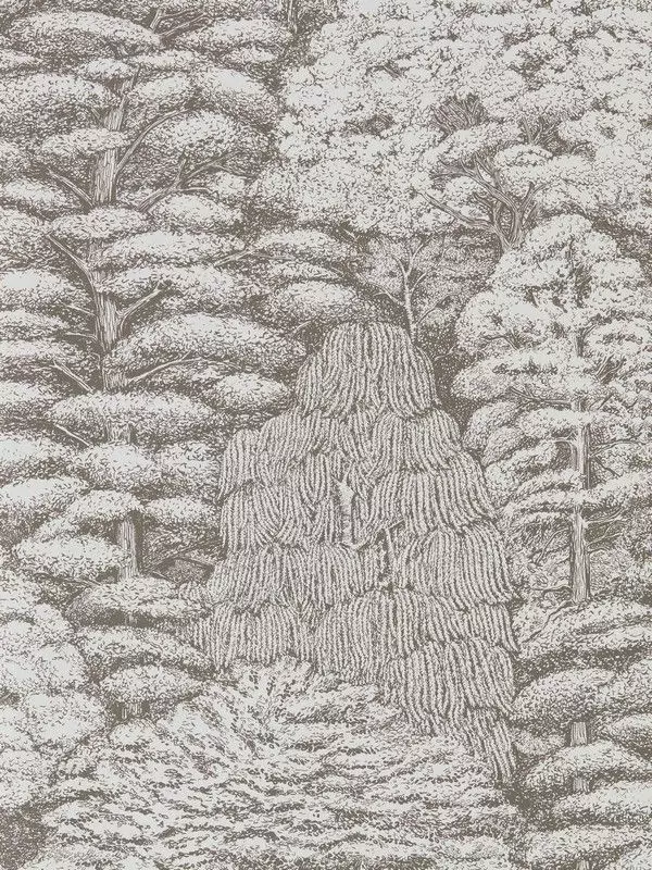 Big_215716_woodland_1