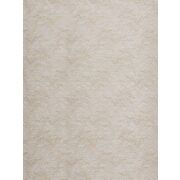 Thumb_312501_zoffany_1