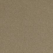 Thumb_f0848_19_1