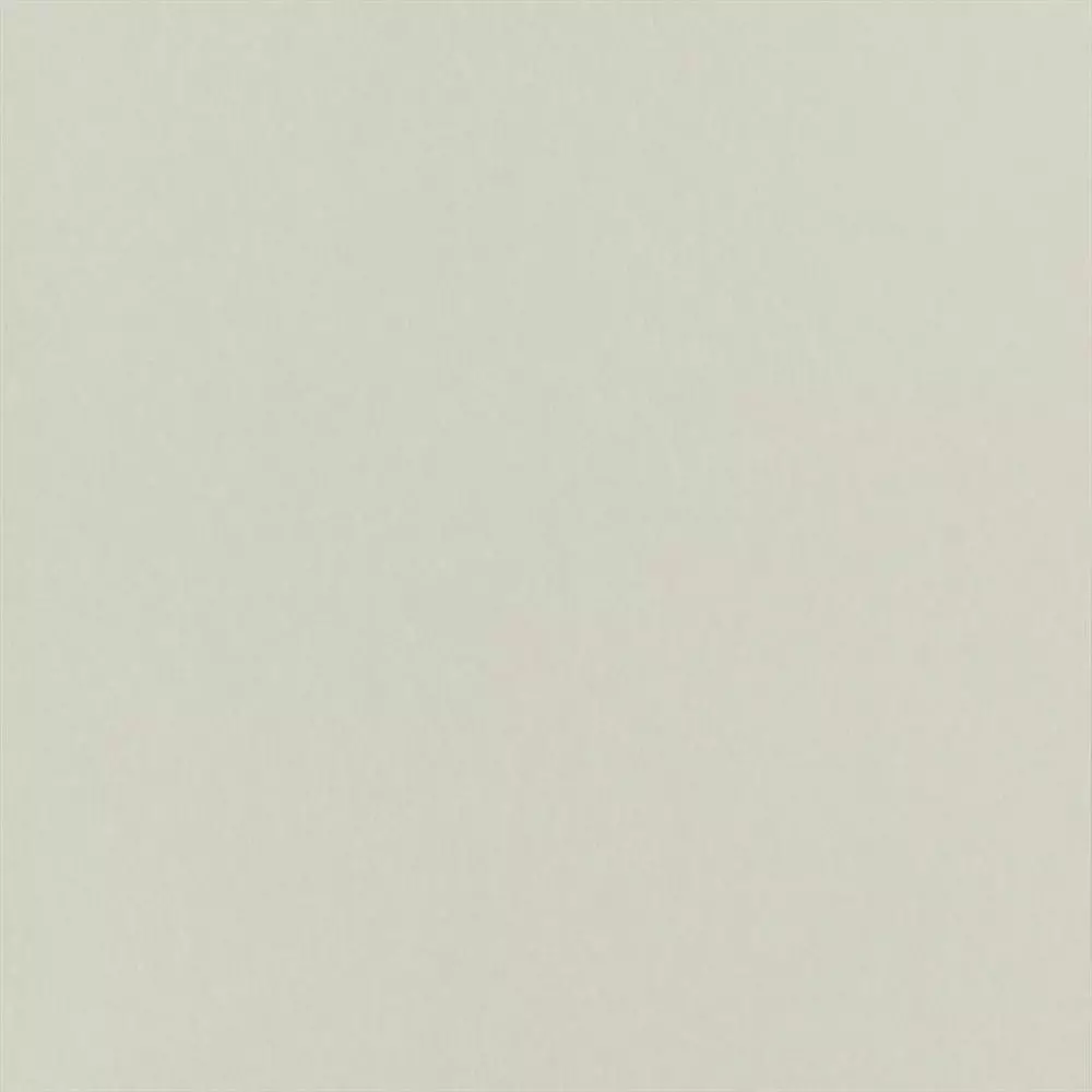 Big_p502_62_1
