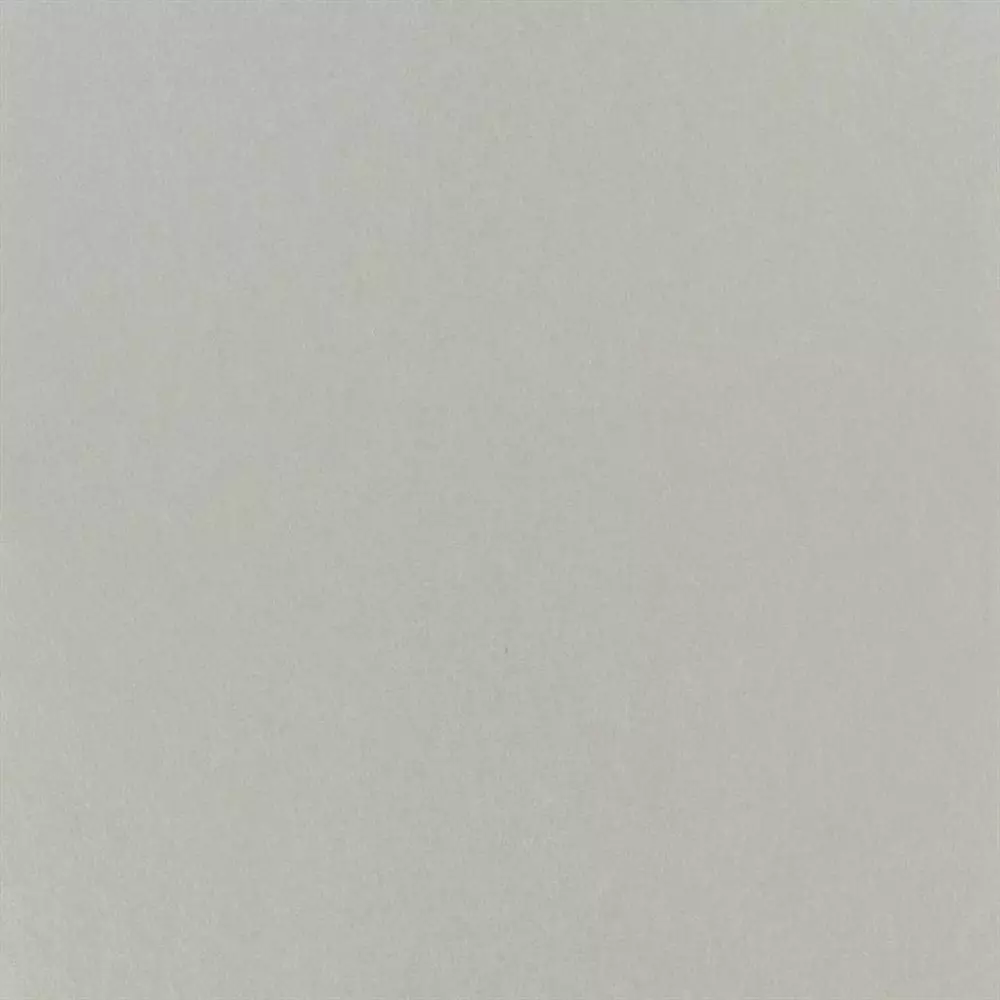 Big_p502_60_1
