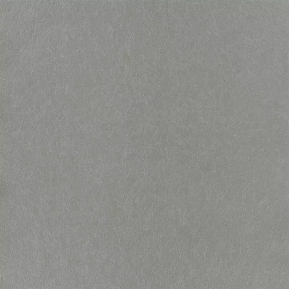 Big_p502_61_1