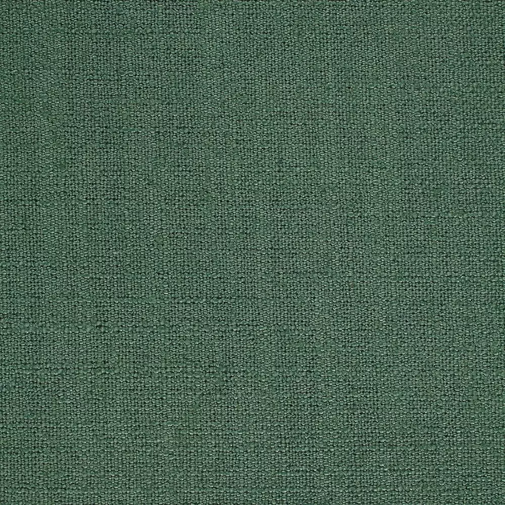 Big_245786_1