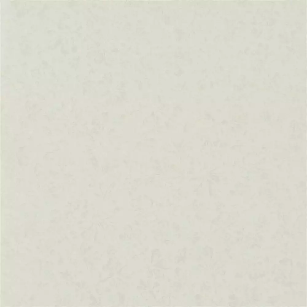 Big_686_01pdg_1