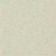 Thumb_686_02pdg_1