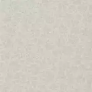 Thumb_686_03pdg_1