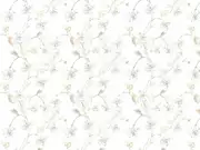 Thumb_2488_90_1