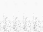 Thumb_2484_70_1