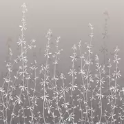 Thumb_111411_1