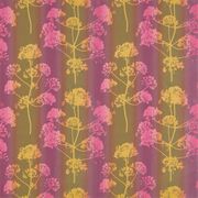 Thumb_131888_1