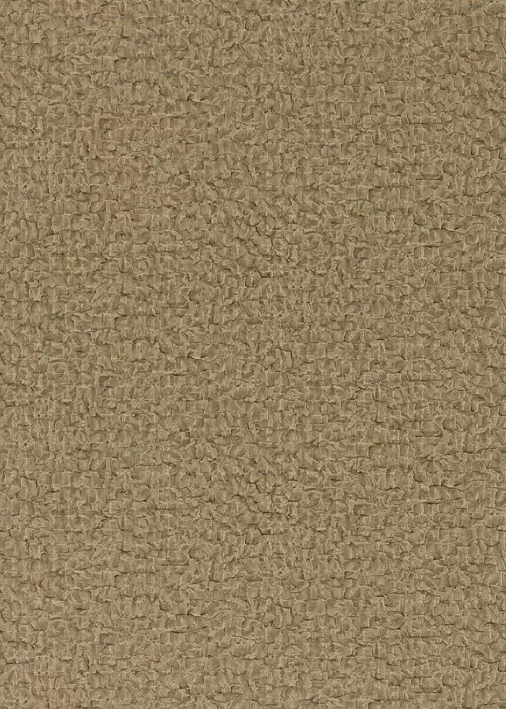 Big_312602_1