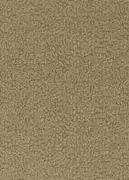 Thumb_312602_1