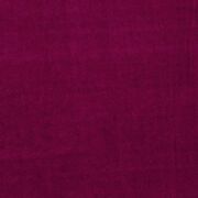 Thumb_f0753_04_1