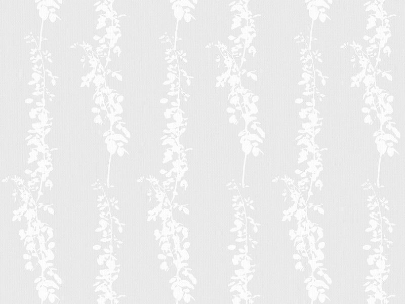 Big_2554_11_1