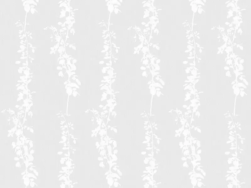 Big_2554_11_1