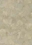 Thumb_312634_1