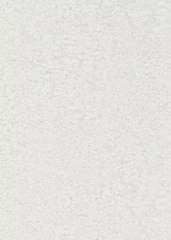 Big_312638_1