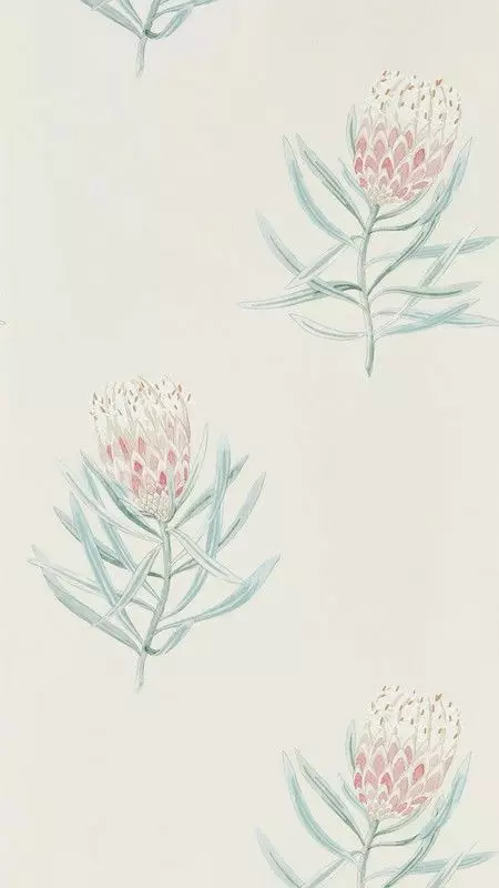 Big_216330_1