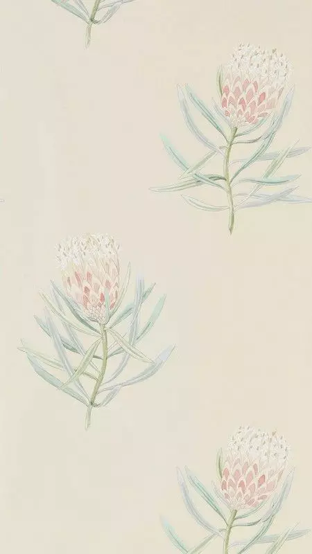 Big_216329_1