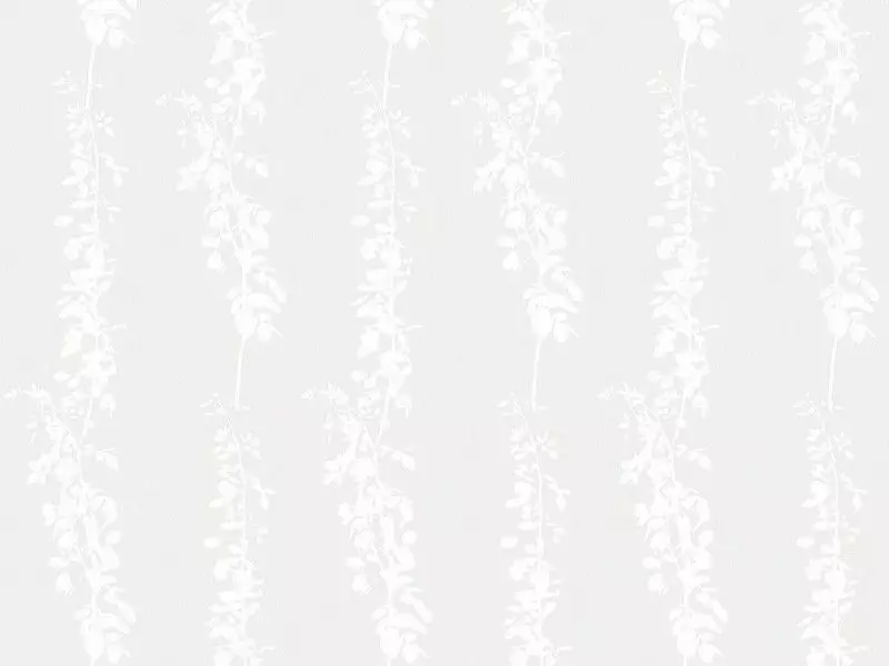 Big_2554_10_1
