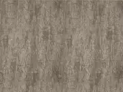 Thumb_2580_21_1
