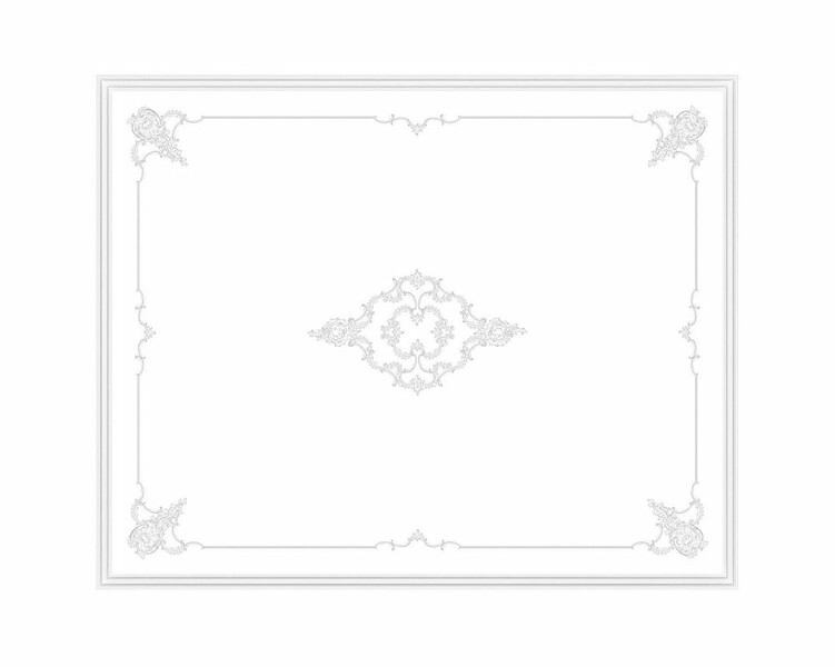 Big_88301rc_1