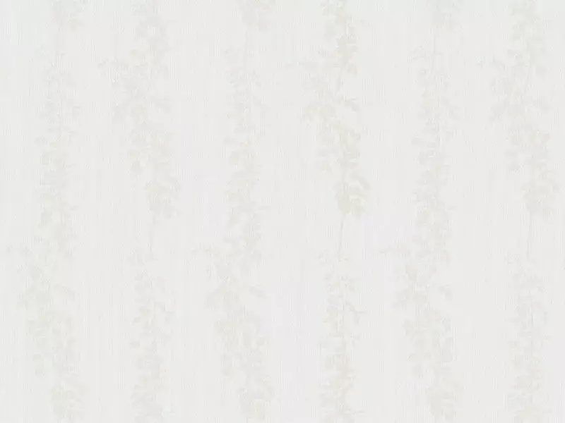 Big_2554_21_1