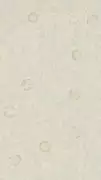 Thumb_216403_1