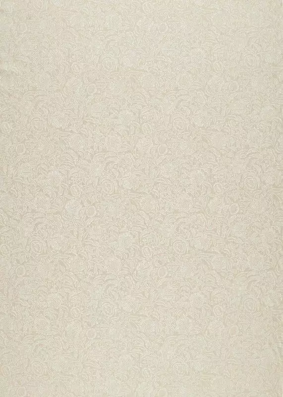 Big_236464_1
