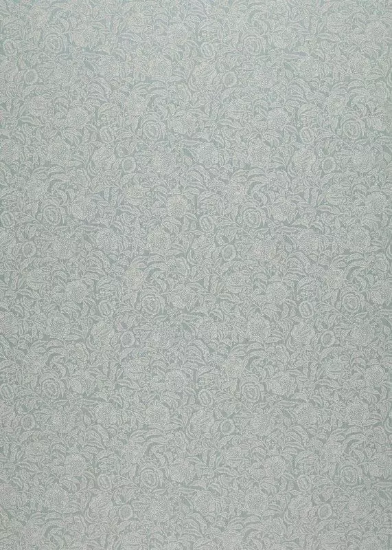 Big_236465_1