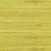 Thumb_850_09_vp_1