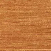 Thumb_850_10_vp_1