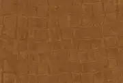 Thumb_423_08_vp_1