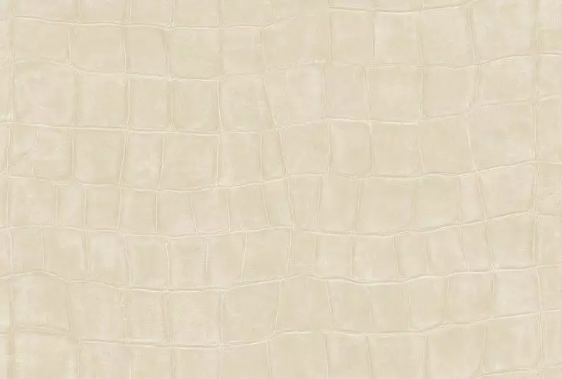 Big_423_01_vp_1