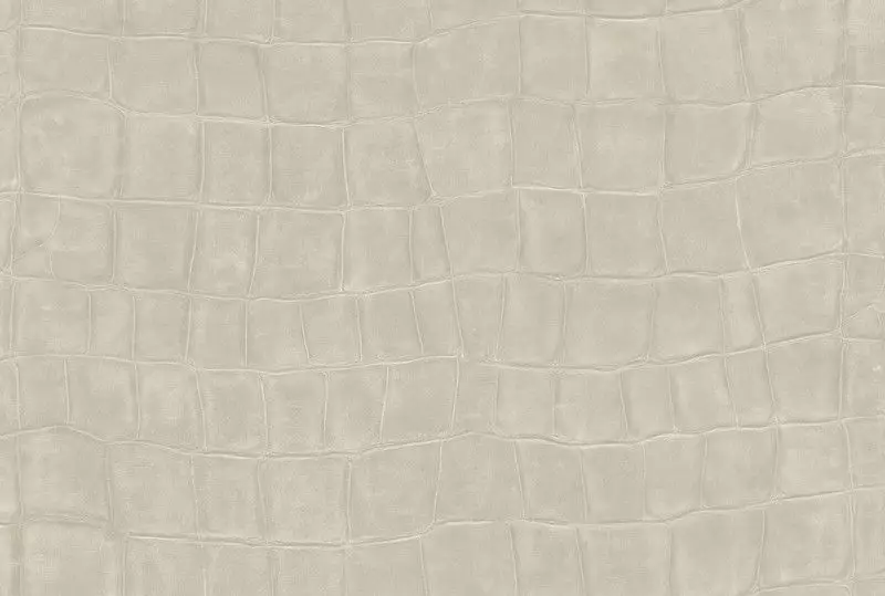 Big_423_03_vp_1
