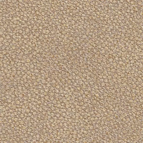 Big_421_25_vp_1