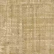 Thumb_601_19_vp_1