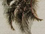 Thumb_603_01_vp_1