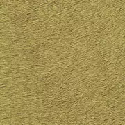 Thumb_625_45_vp_1