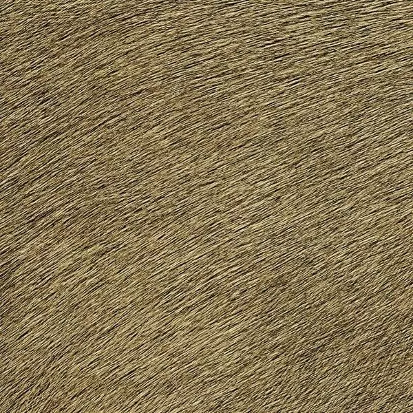 Big_625_32_vp_1