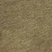Thumb_625_32_vp_1