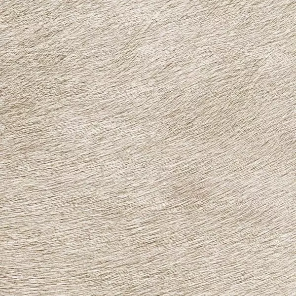 Big_625_40_vp_1