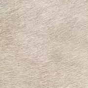 Thumb_625_40_vp_1