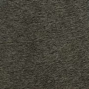 Thumb_625_39_vp_1