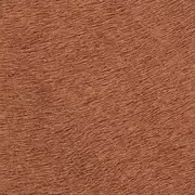 Thumb_625_42_vp_1