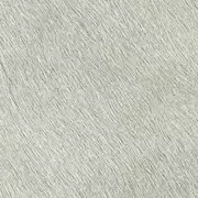 Thumb_625_28_vp_1