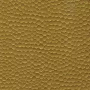 Thumb_612_95_rm_1