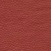 Thumb_612_39_rm_1